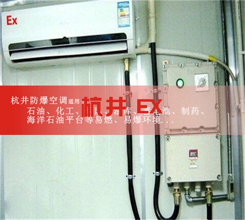 厂专用防爆空调案例图