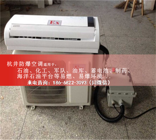 危险品仓库防爆空调机案例图